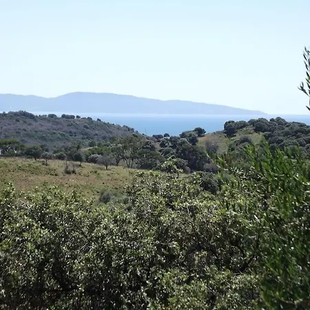 Maison Bois Sur La Colline A 1500 M Des Plages * Cargese